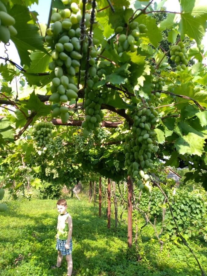 Гостевой дом Excellent house Кутаиси-42